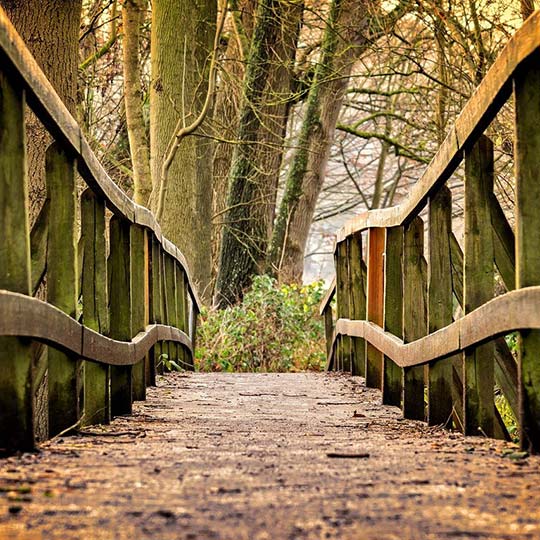 南京市某某木业有限公司 南京市某某木业有限公司